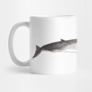 Fin whale Balaenoptera physalus Mug